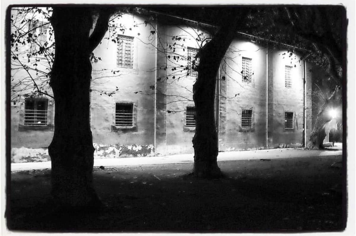 The Galileo Apartment Pisa Bagian luar foto