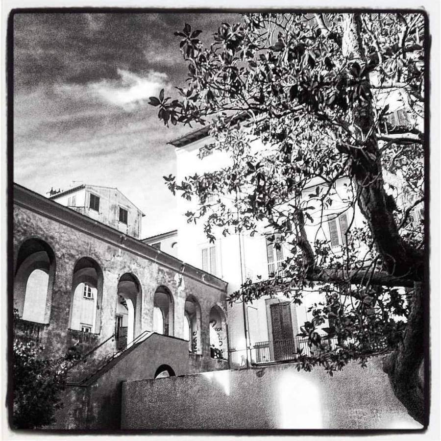The Galileo Apartment Pisa Bagian luar foto