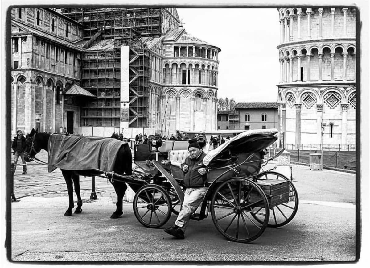 The Galileo Apartment Pisa Bagian luar foto
